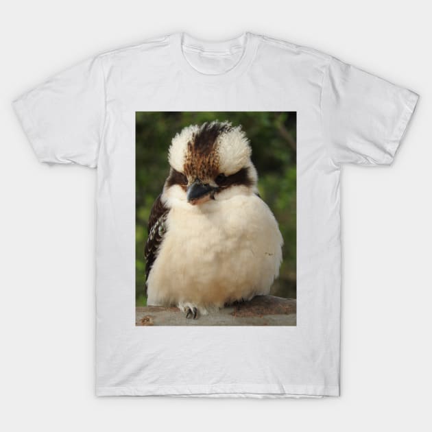 Kookaburra T-Shirt by kirstybush